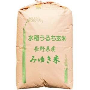 コシヒカリ 幻の米 玄米30kg 1等 長野県飯山産 JAながの 「幻の米