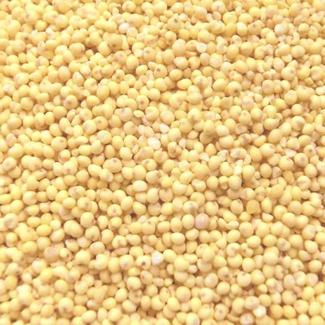 もちきび 中国産 業務用 20kg (10kgx2) 【事業所配送（個人宅不可)】