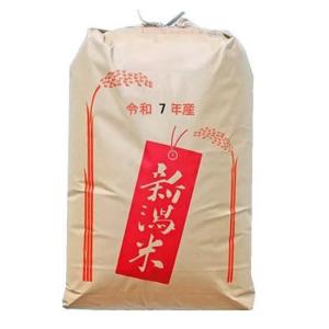 コシヒカリ 白州米 玄米30kg 1等 山梨県産 日本名水100選 白州米 令和7
