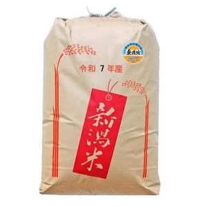 コシヒカリ 梨北米 米10kg 山梨県産 梨北米コシヒカリ JA梨北 「A