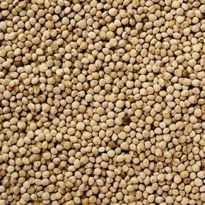 えごま実 中国産 業務用 10kg (5kgx2) 【事業所配送（個人宅不可）】
