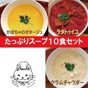 たっぷりスープ10食セット【ナチュラルグレース】【クール便】｜manryo