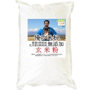 俺の米粉 （農薬9割化学肥8割減 雪若丸） 無添加 玄米粉 500g