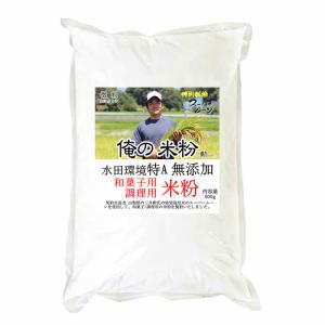 俺の米粉 （農薬9割化学肥8割減 雪若丸） 無添加 アルファ化