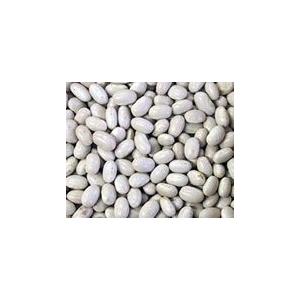 大手亡 白いんげん豆 北海道 500g