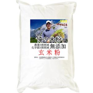 俺の米粉 勲ver. （農薬5割化学肥5割減ササニシキ） 無添加 玄米粉 500g｜manryo