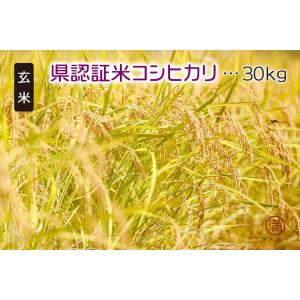 令和7年産 キヌヒカリ30kg（精白米25kg） 淡路島産 : 廣内農園 - 通販