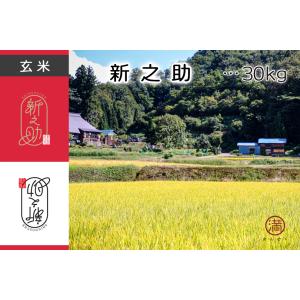 令和7年産 会津産 ちほみのり 玄米30kg 1等or調製 ※コイン精米サービス