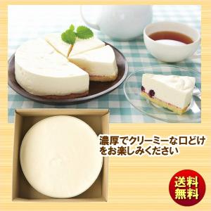 山田牧場 チーズケーキの商品一覧 通販 Yahoo ショッピング