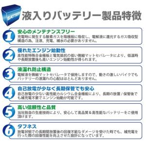 台湾 YUASA ユアサ 6V4Ah NP4-...の詳細画像4