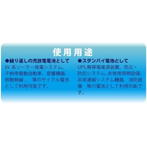 台湾 YUASA ユアサ 6V4Ah NP4-...の詳細画像5