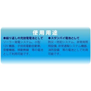 台湾 YUASA ユアサ 12V5Ah NPH...の詳細画像3