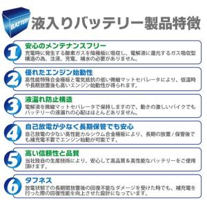 台湾 YUASA ユアサ 12V5Ah NPH...の詳細画像4
