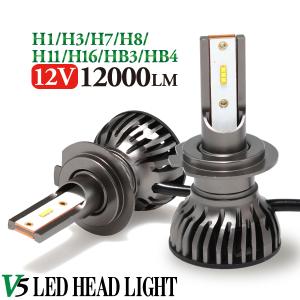 LED ヘッドライト H11 H8 H3 H7 H1 HB3 HB4 PSX24W PSX26W 2個セット