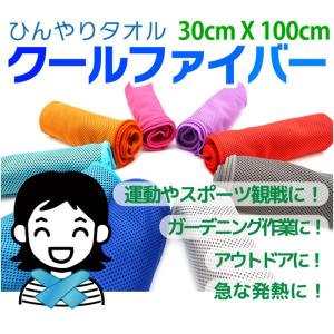 クールファイバー 水だけで冷たさ持続 選べる1...の詳細画像1