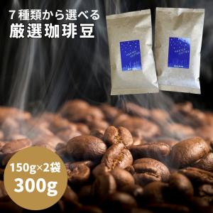 コーヒー豆 福袋 300g 7種から2種選択 マンデリン モカ 珈琲豆 送料無料 満天珈琲 ブラジル キリマンジャロ スプレモ