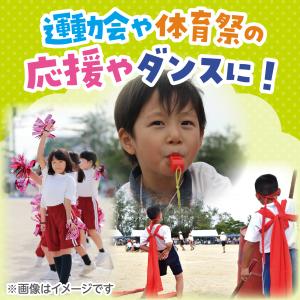 ホイッスル ヒモ付 運動会 競技用品 アーテックの詳細画像2