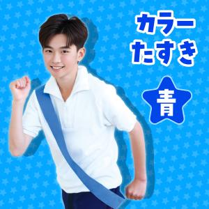 カラーたすき 青 運動会 競技用品 アーテックの詳細画像1