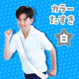 カラーたすき 白 運動会 競技用品 アーテックの詳細画像1