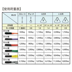 ベルトスリング 幅25mm 長さ2.5m スリ...の詳細画像4