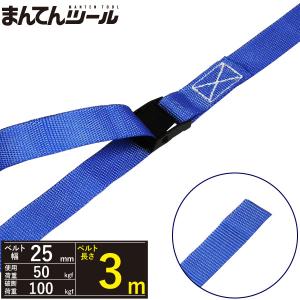 荷締めベルト エンドレス50kg 幅25mm×長さ3m ラッシングベルト