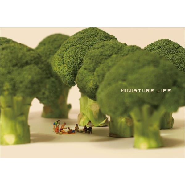 MINIATURE LIFE ミニチュアライフ