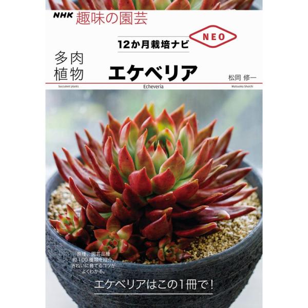 多肉植物 エケべリア (NHK趣味の園芸 12か月栽培ナビNEO)