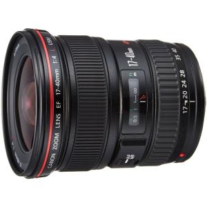 TAMRON 単焦点マクロレンズ SP90mm F2.8 Di MACRO 1:1 VC USD