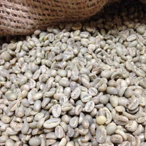 松屋珈琲 コーヒー生豆 エチオピア （モカ）シダモＧ２ (1kg袋)