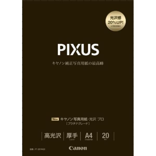 （業務用セット） キャノン Canon純正プリンタ用紙 写真用紙・光沢 プロ（プラチ