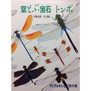 空とぶ宝石トンボ (たくさんのふしぎ傑作集)