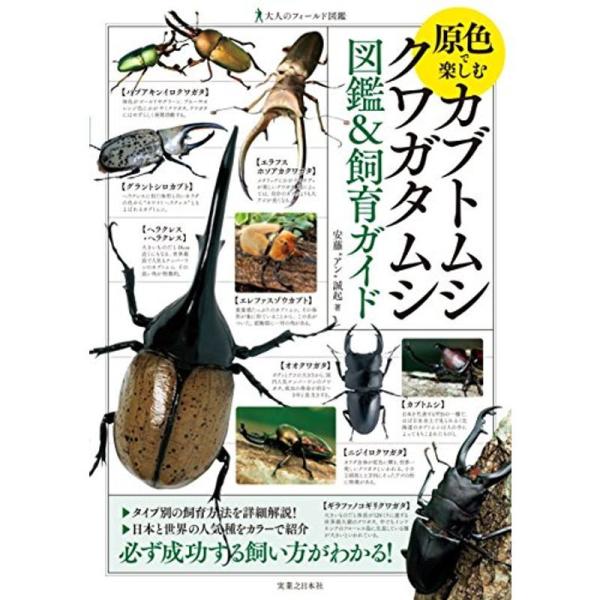 大人のフィールド図鑑 原色で楽しむ カブトムシ・クワガタムシ 図鑑&amp;飼育ガイド