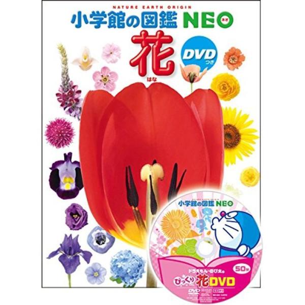 DVD付 花 (小学館の図鑑 NEO)