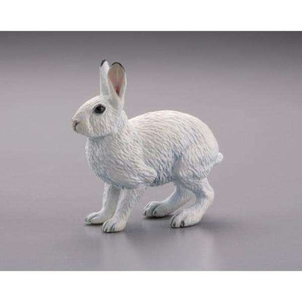 海洋堂 カプセルＱ ミュージアム 日本の動物コレクション：トウホクノウサギ（冬毛