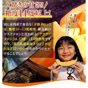 宮古島産 春 メロン 赤肉 メロンクインシー ...の詳細画像1