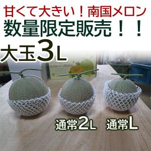 父の日 宮古島産 春 高級 赤肉メロン クイン...の詳細画像1