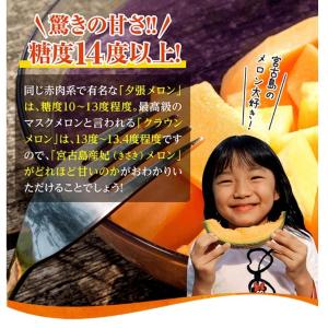 父の日 宮古島産 春 高級 赤肉メロン クイン...の詳細画像2