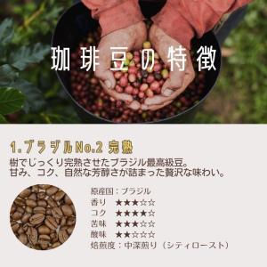 コーヒー豆セット 7種から2種選べる 150g...の詳細画像2