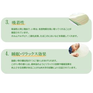 小上がり ユニット畳 畳ベンチ 樹脂畳ユニット...の詳細画像5