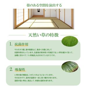 小上がり ユニット畳 畳ベンチ 天然い草 畳ユ...の詳細画像5