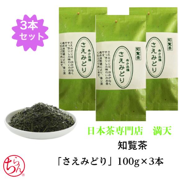 知覧茶 さえみどり 100g×3本セット 希少品種 日本茶 緑茶 お茶 冷茶 国産 　産地直送 プレ...