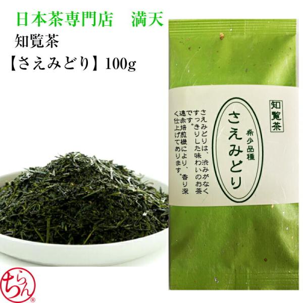 知覧茶 さえみどり 新茶 日本茶 鹿児島茶 100g