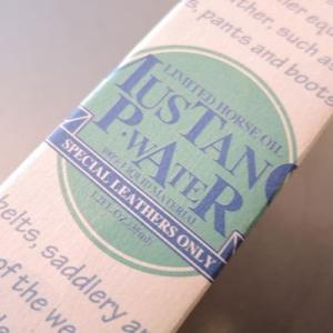 Lightning 2023年3月号　相棒と過ごす日々 Lightning 2023年3月号 相棒と過ごす日々