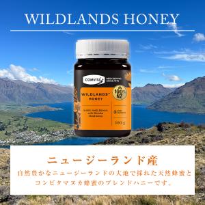 ワイルドランドハニー ブレンド蜂蜜 はちみつ ...の詳細画像1