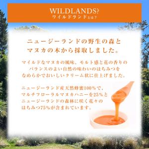 ワイルドランドハニー ブレンド蜂蜜 はちみつ ...の詳細画像2