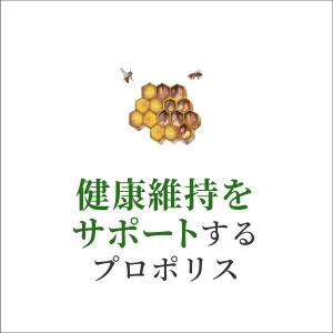 <公式>コンビタ comvita ...の詳細画像2