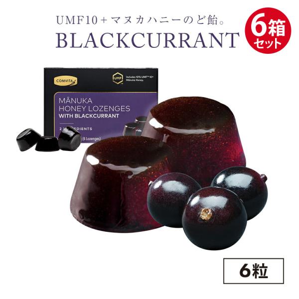 UMF10+ 配合 マヌカハニー のど飴 ブラックカラント味 6粒(1箱)×6箱セット 飴 コンビタ...