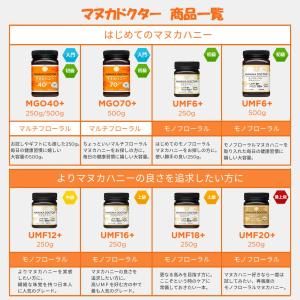 マヌカハニー 送料無料 MGO70+ 500g...の詳細画像5