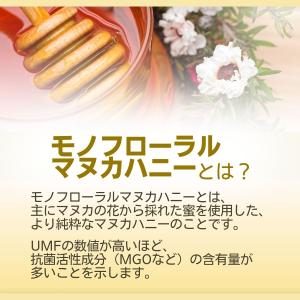 マヌカハニー UMF12+ 250g ニュージ...の詳細画像4