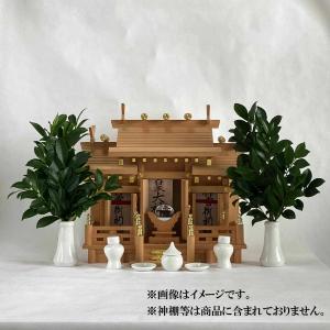 国産サカキ 榊 さかき 生花 生榊1対(2束)...の詳細画像4